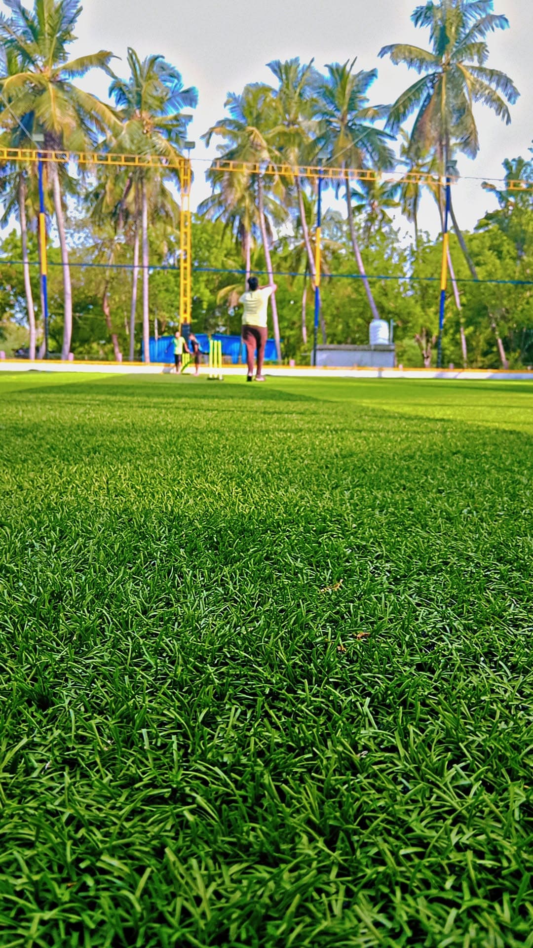 Champion Zone Biggest TURF