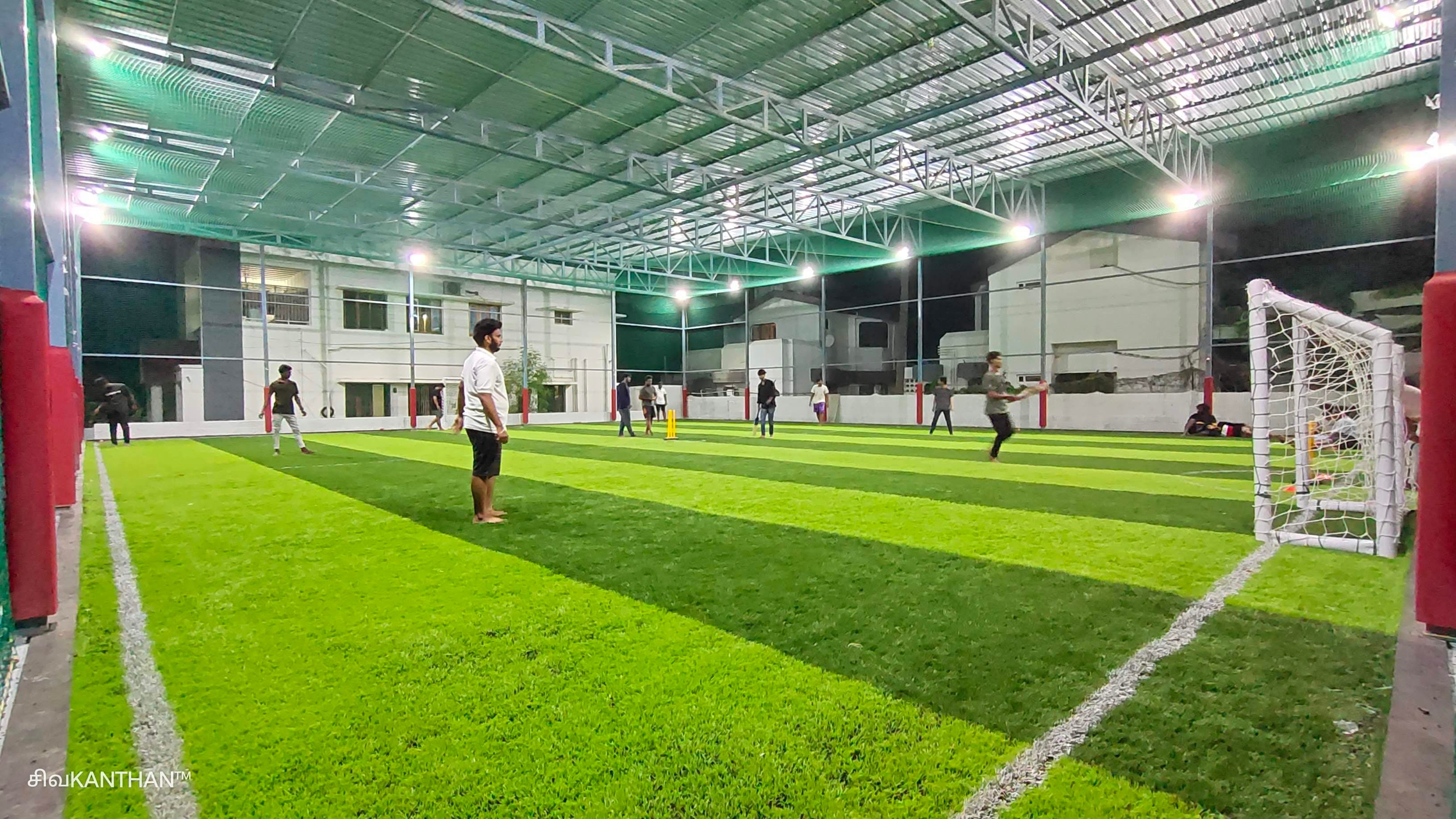 Sopa's Goal Turf
